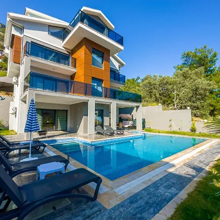 Goecek Marin B 4+1 Villa, Oezel Havuzlu